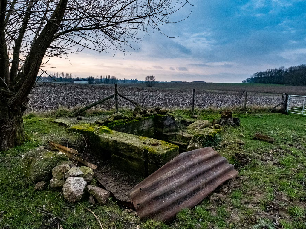 Bunkerdag